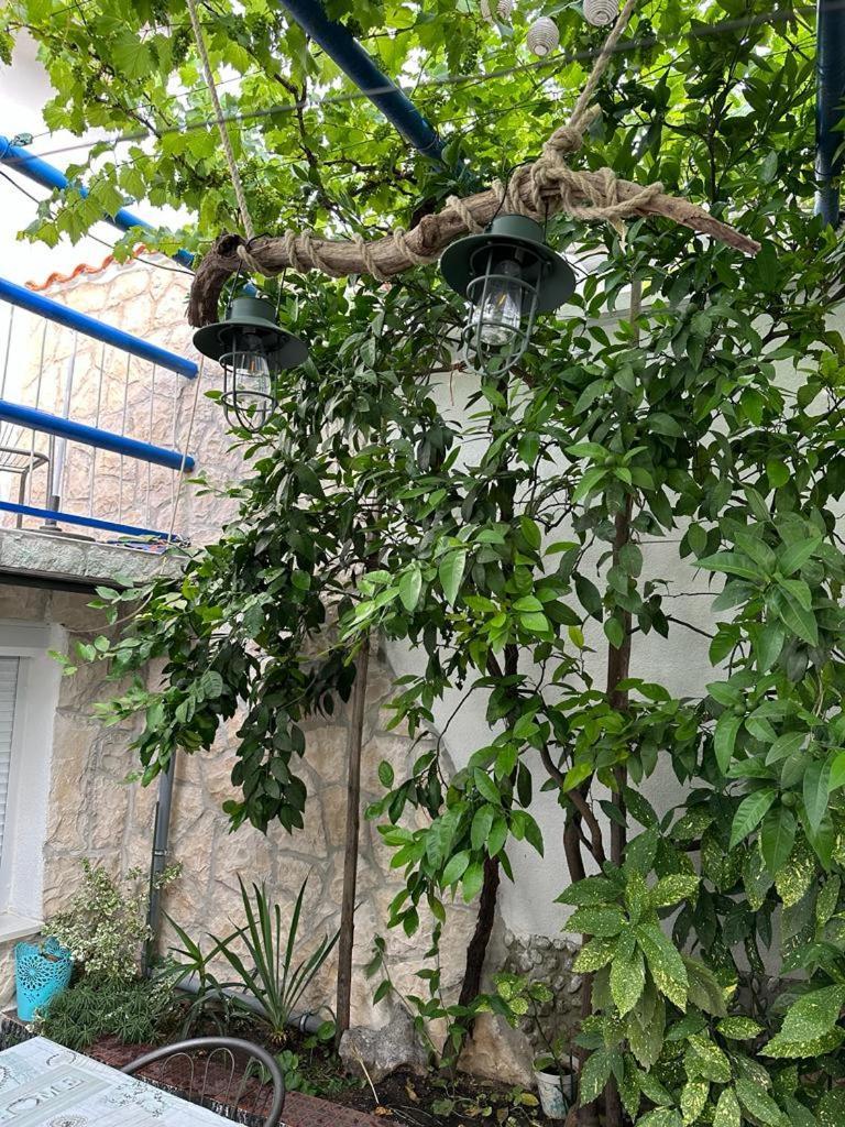 Vila Katica Bribir  Exterior photo