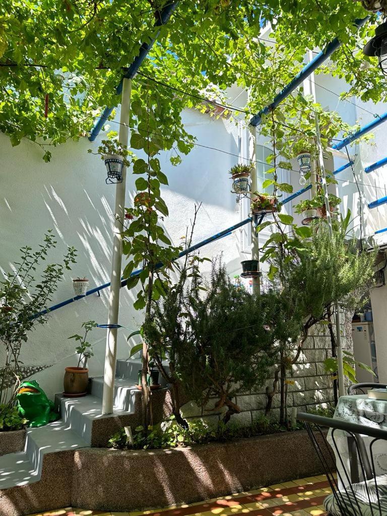 Vila Katica Bribir  Exterior photo